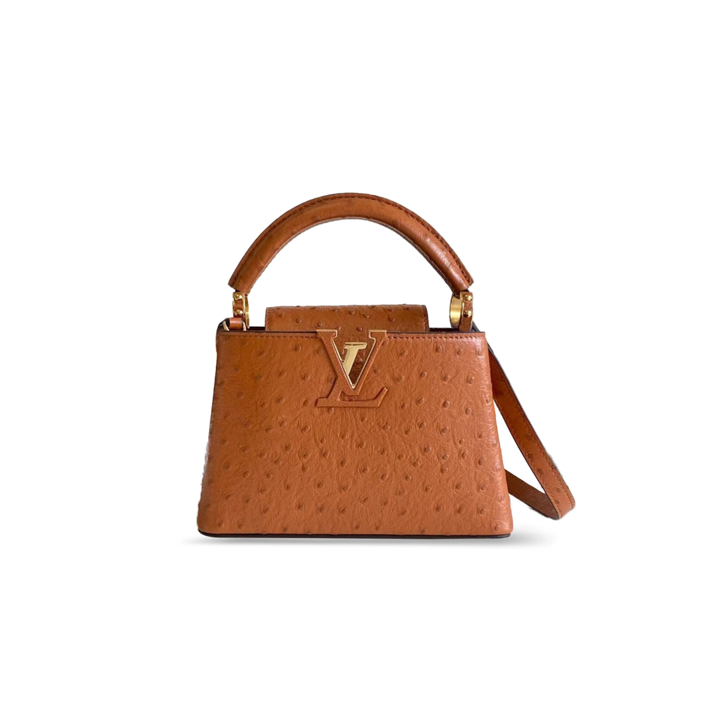 l0vis Vvtt0n capucines mini n85518 (21*14*8cm)